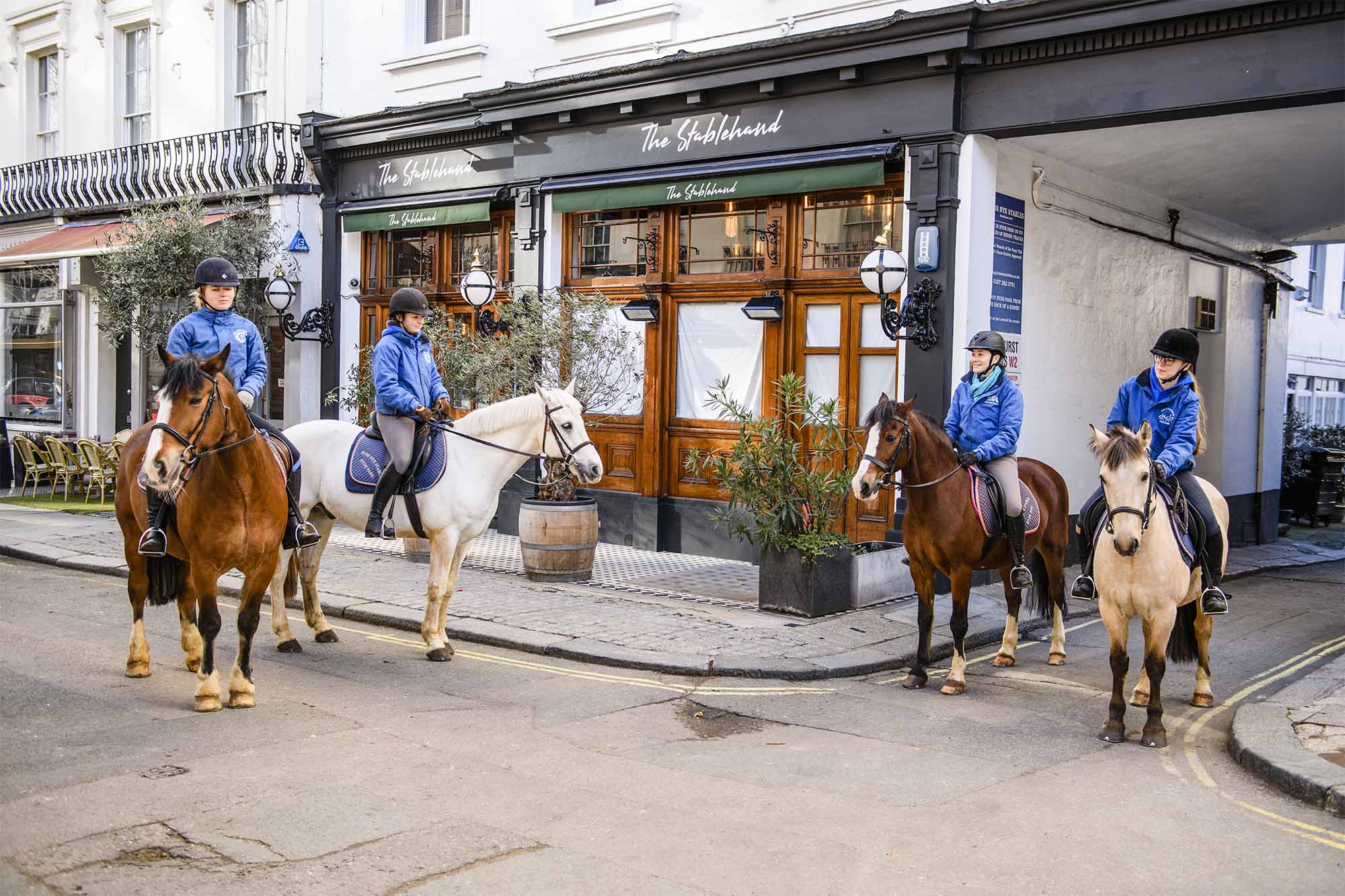 The Stablehand Gastro Pub Horses